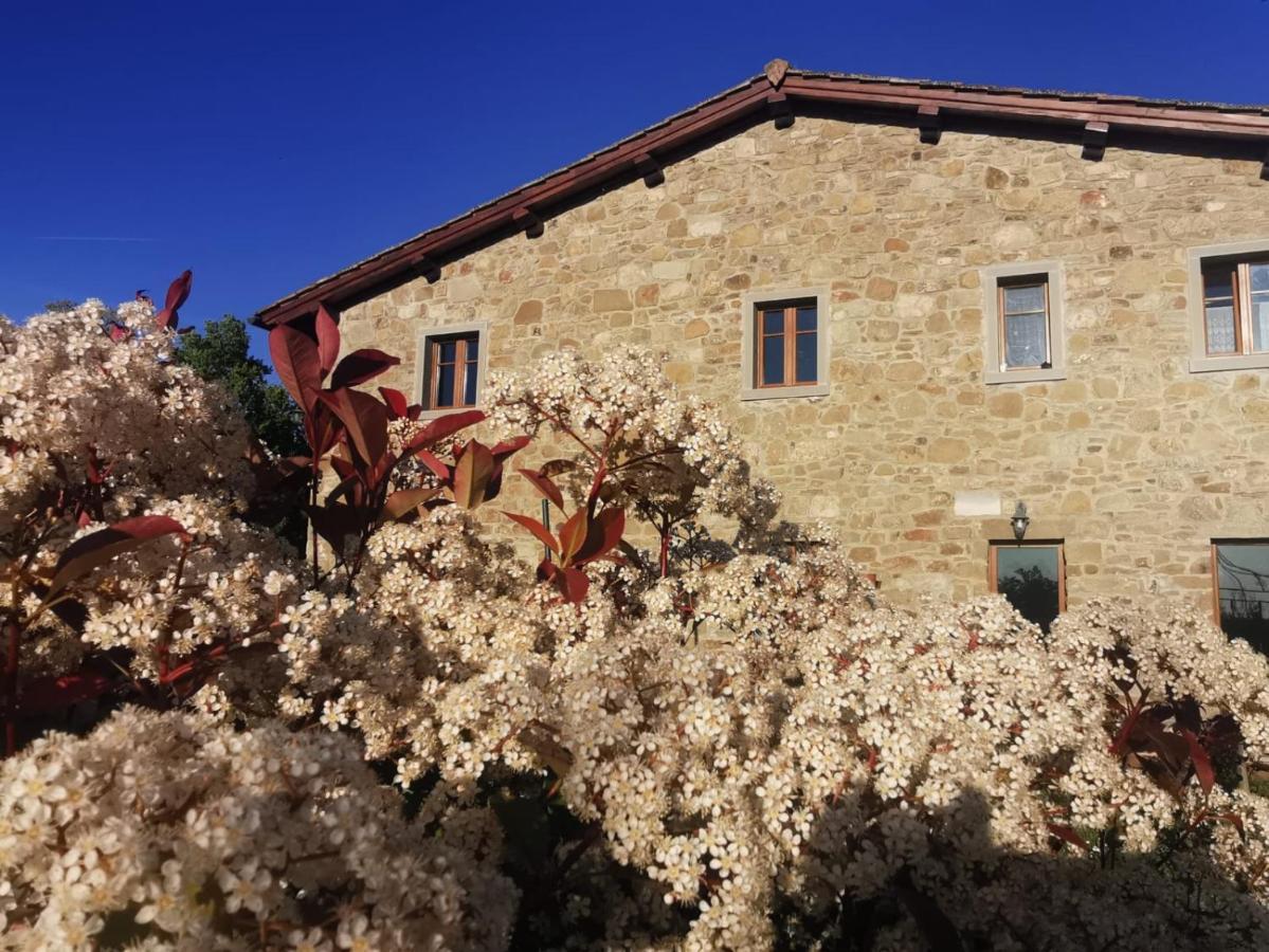 Il Cerro Vendégház Pelago Kültér fotó