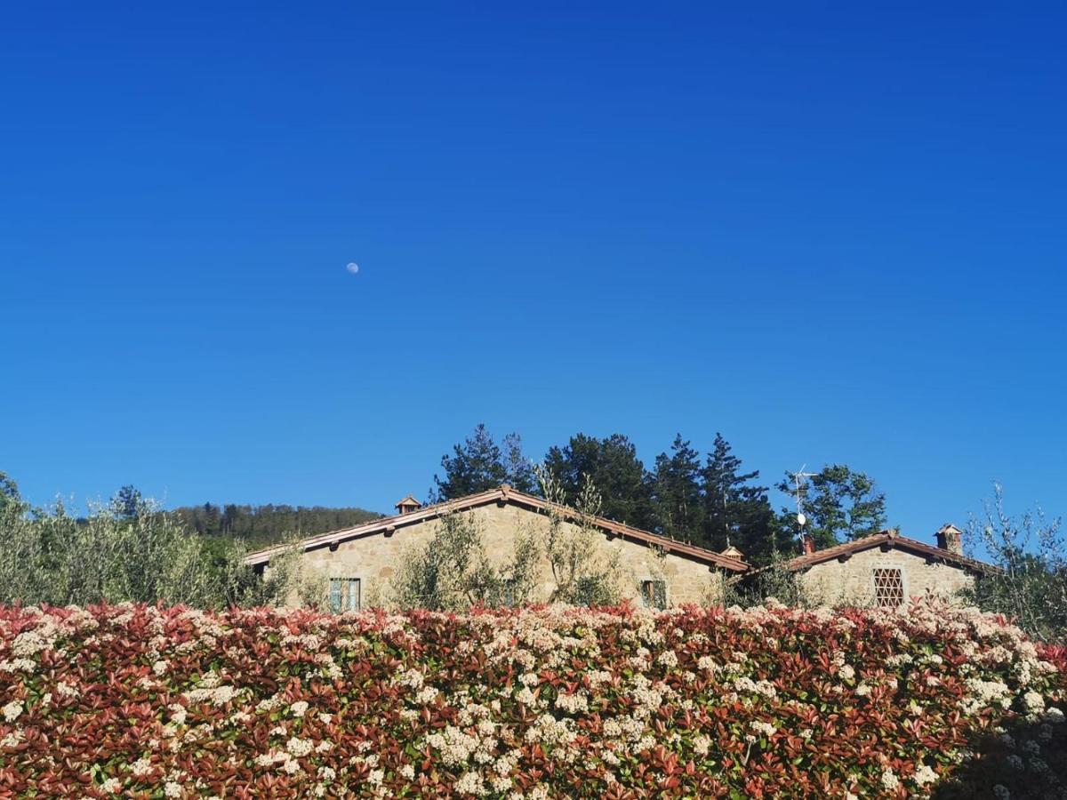 Il Cerro Vendégház Pelago Kültér fotó